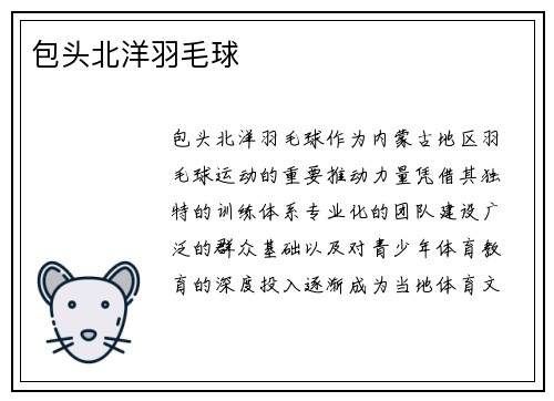 包头北洋羽毛球
