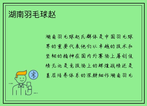 湖南羽毛球赵