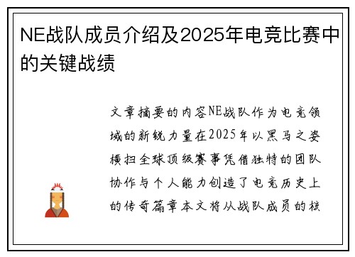 NE战队成员介绍及2025年电竞比赛中的关键战绩